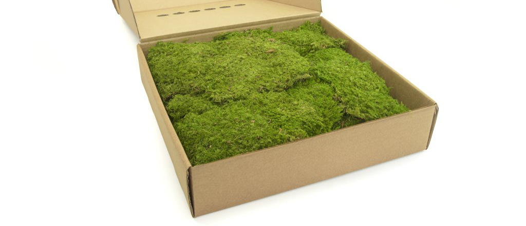 Rock Moss produkt 1